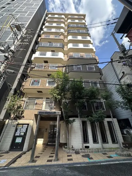 갤러리 사진 13