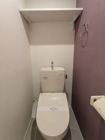 갤러리 사진 11