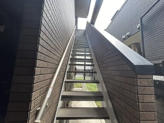 갤러리 사진 13