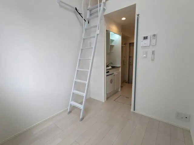 갤러리 사진 4