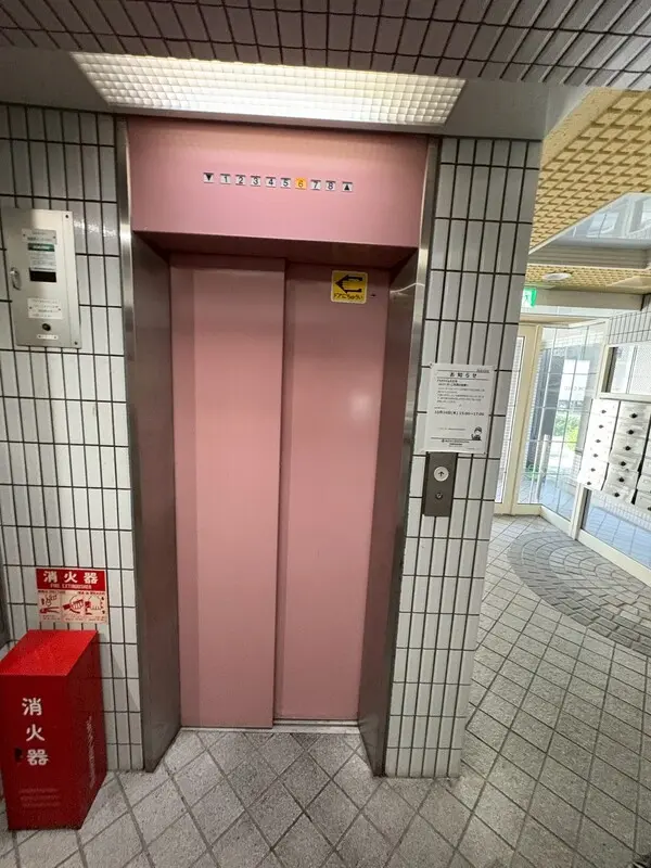 갤러리 사진 8