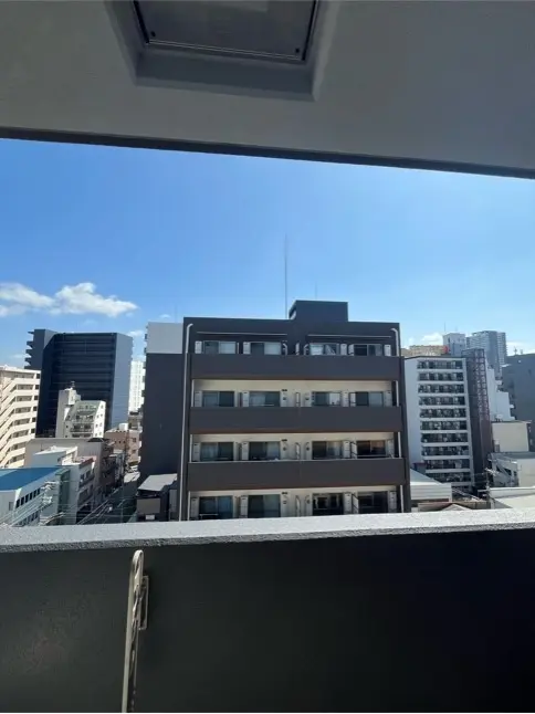 갤러리 사진 11