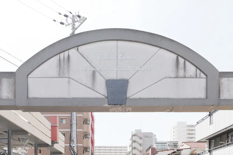 갤러리 사진 5