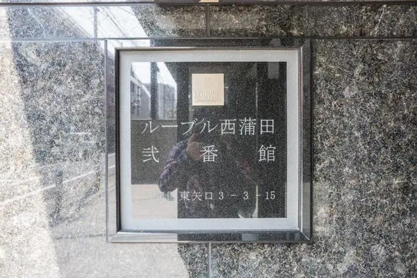갤러리 사진 5