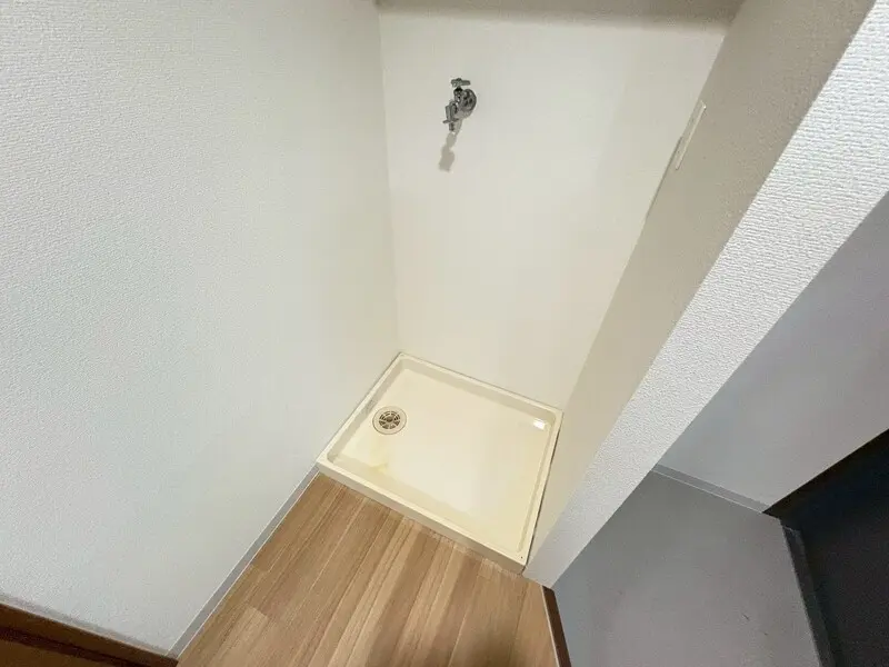갤러리 사진 19