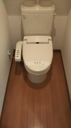 갤러리 사진 5