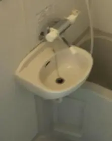 갤러리 사진 8