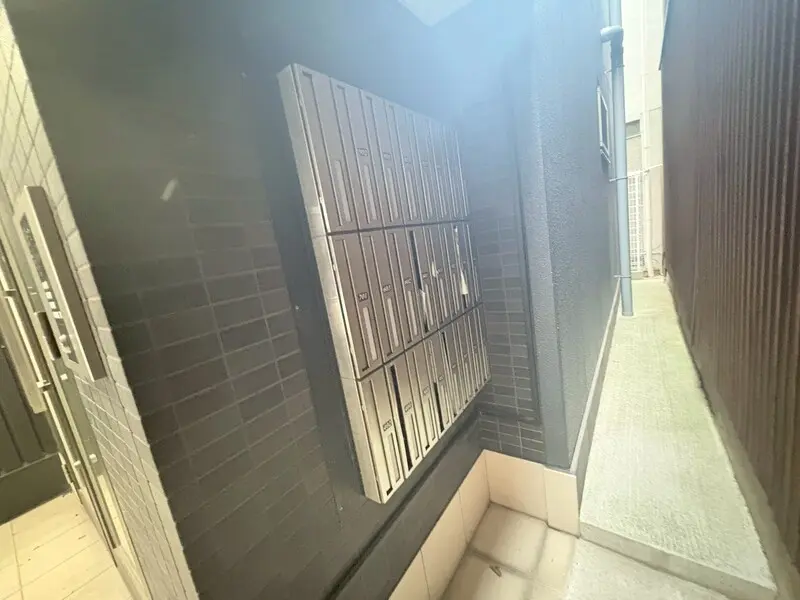 갤러리 사진 4