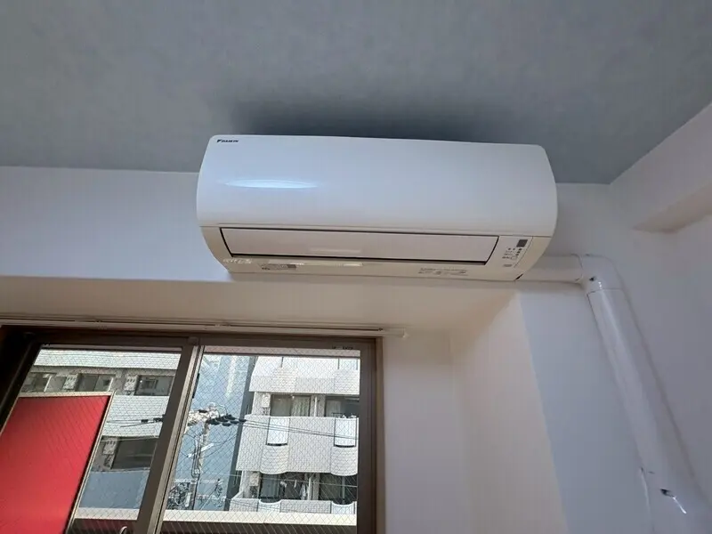 갤러리 사진 23