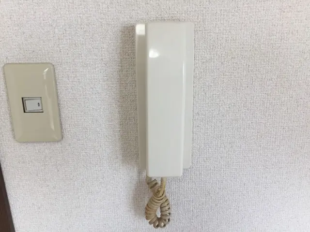 갤러리 사진 5