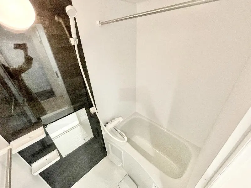 갤러리 사진 11