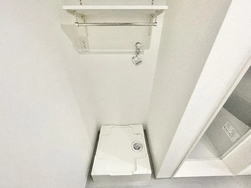 갤러리 사진 15