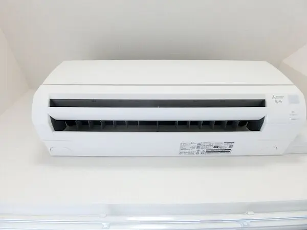 갤러리 사진 6