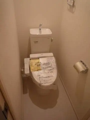 갤러리 사진 8