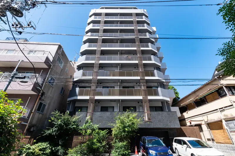 갤러리 사진 4