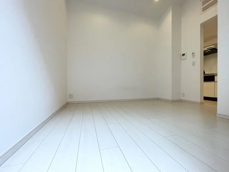 갤러리 사진 4