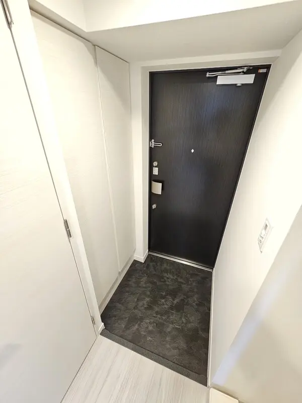 디어레이셔스 오토바시 사진 3
