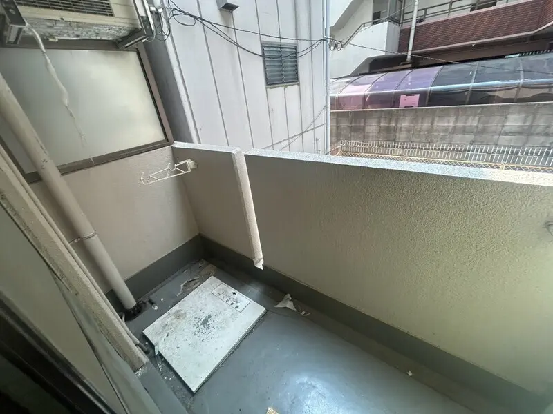 갤러리 사진 15