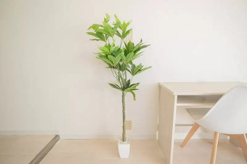 갤러리 사진 25