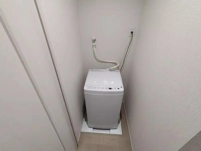 갤러리 사진 5