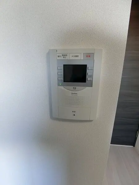 갤러리 사진 13