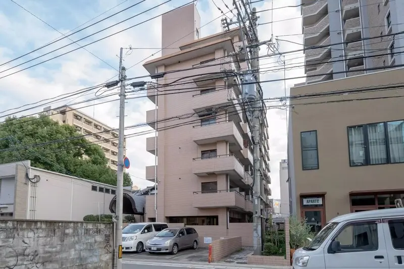 갤러리 사진 20