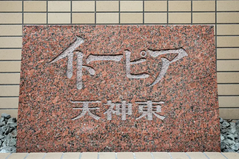 갤러리 사진 4